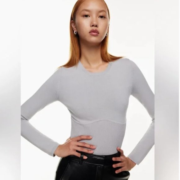 Aritzia Babaton Gray Sculpt Knit Empire Long Sleeve Top Size XS - Picture 1 of 11